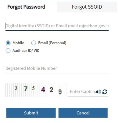 Forgot SSO ID Password